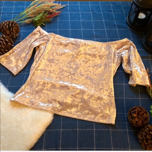 NWOT Forever 21 Crushed Velvet Bardot Top - Picture 3 of 5